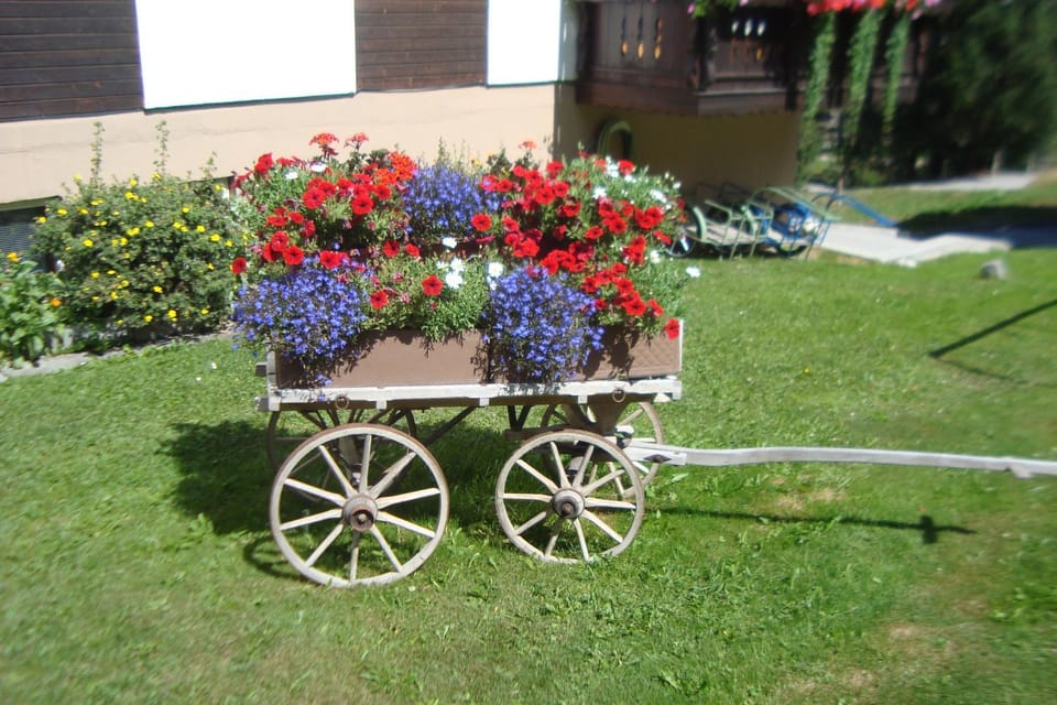 Garden, Other