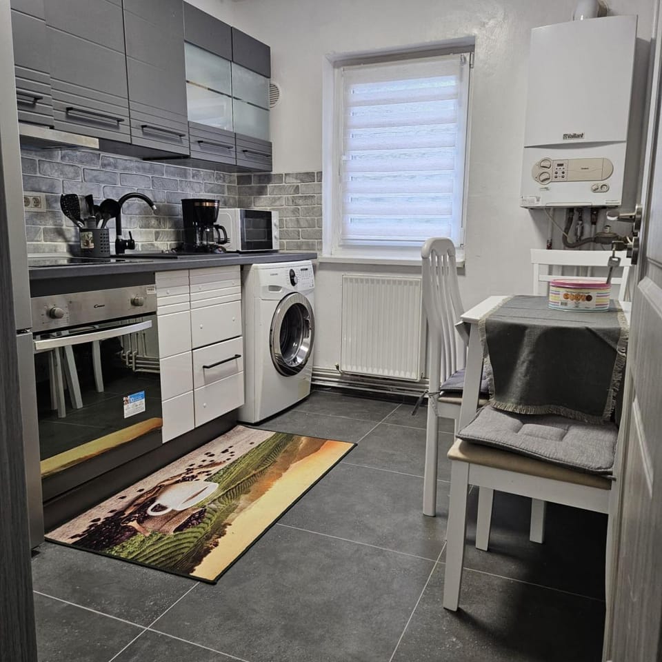 Garsoniera Delia Apartment in Brasov