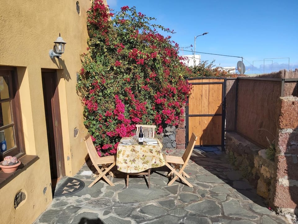 Patio, Day, Garden, Garden view