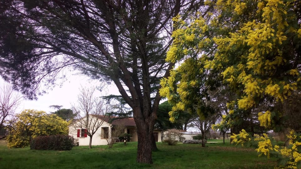 Property building, Garden view
