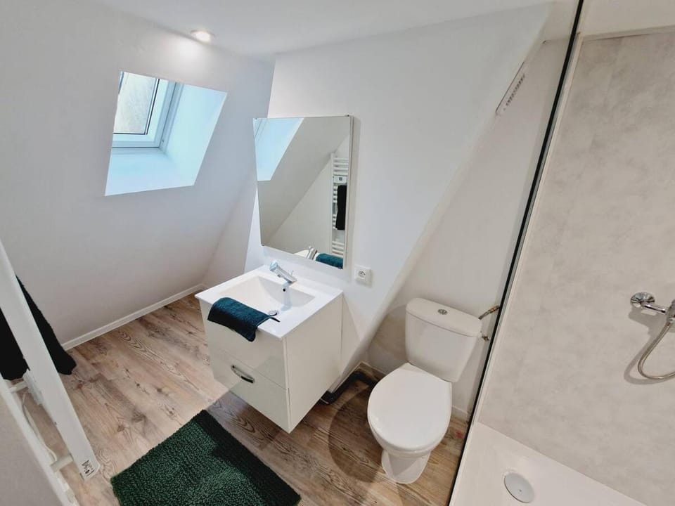 Shower, Toilet, Bathroom, towels