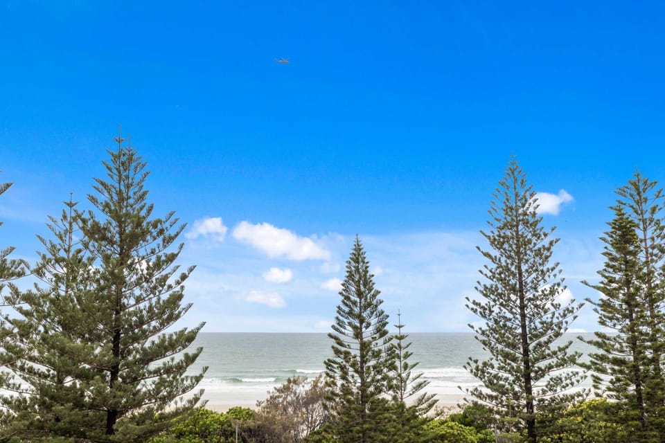 Spring, Day, Natural landscape, Sea view