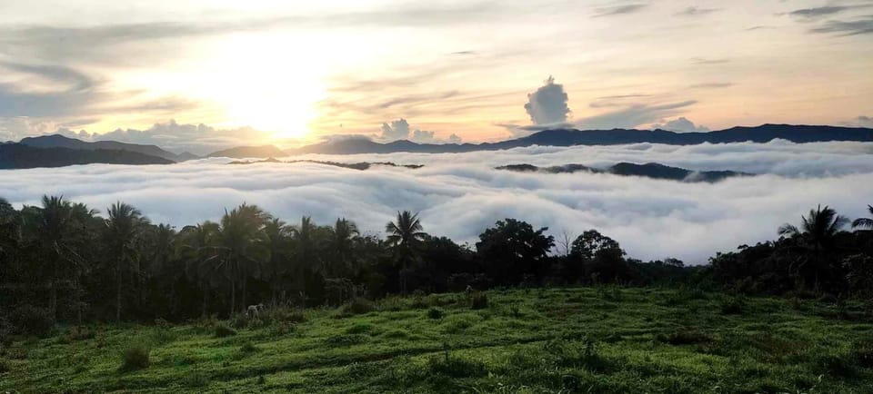Sunrise