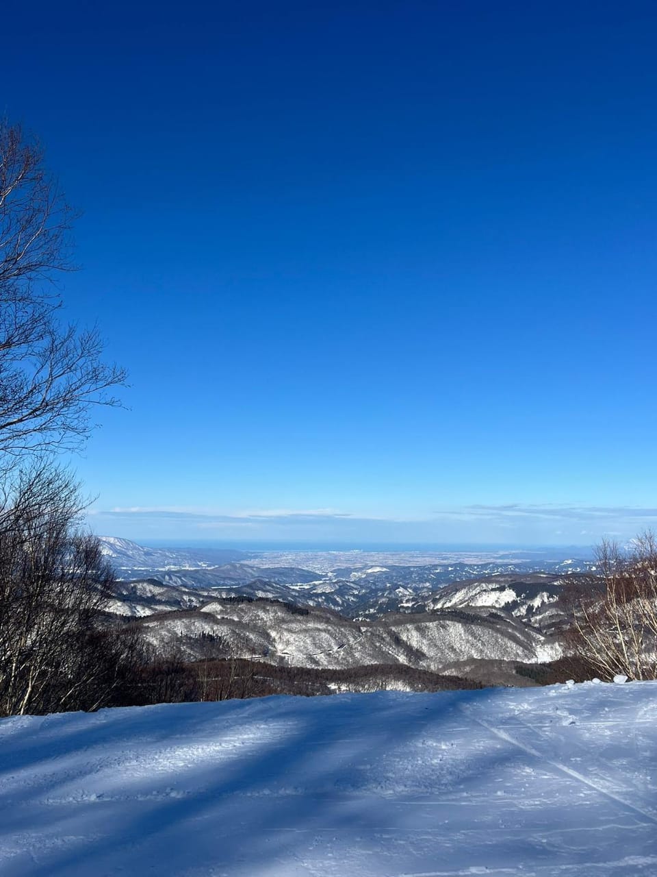 Skiing