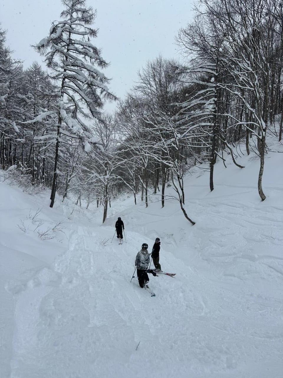 Skiing