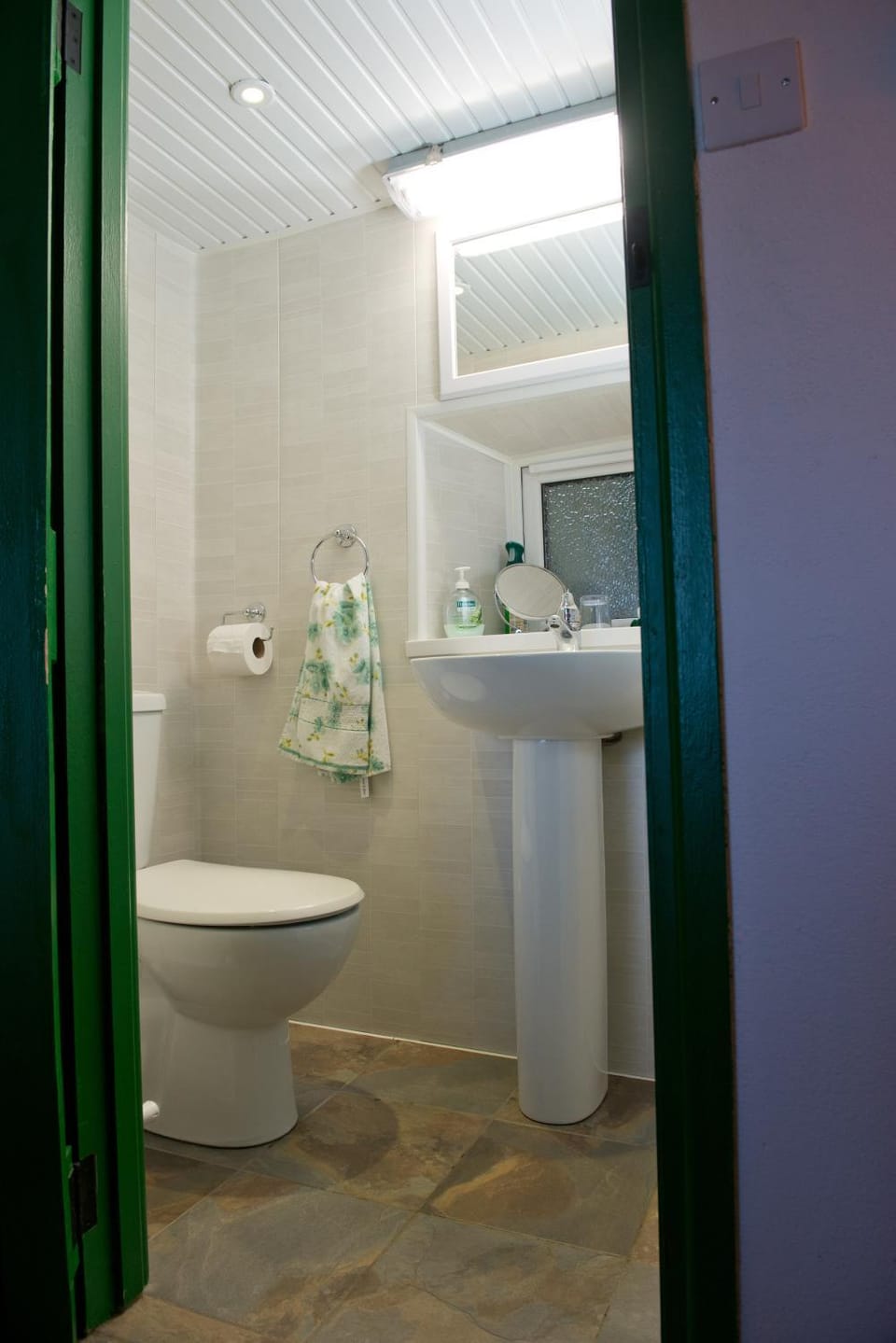 Shower, Toilet