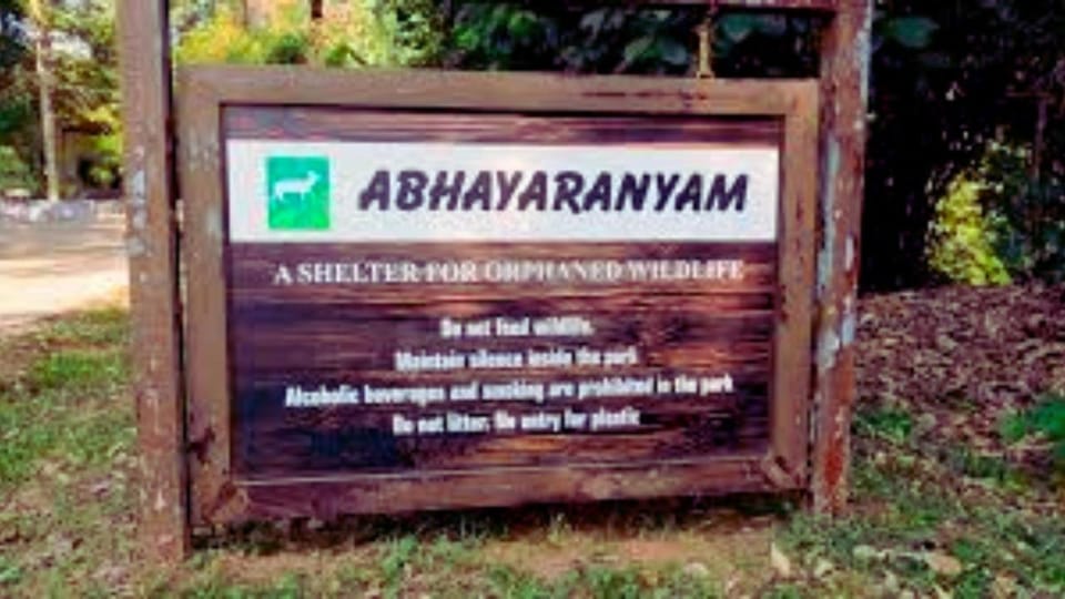 Property logo or sign, Natural landscape