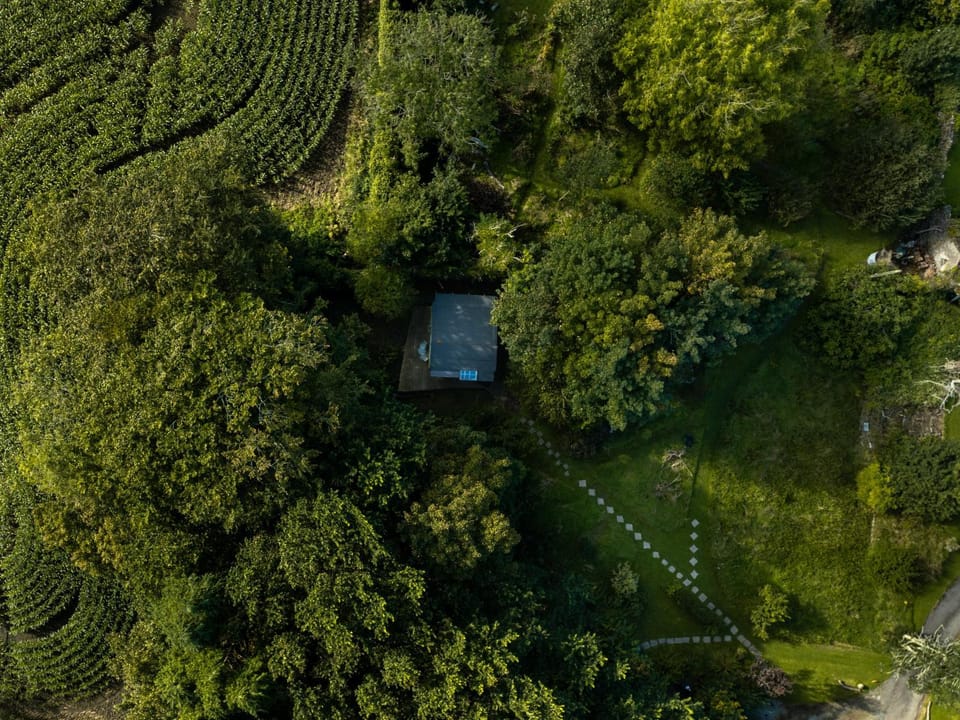 Natural landscape, Garden, Location