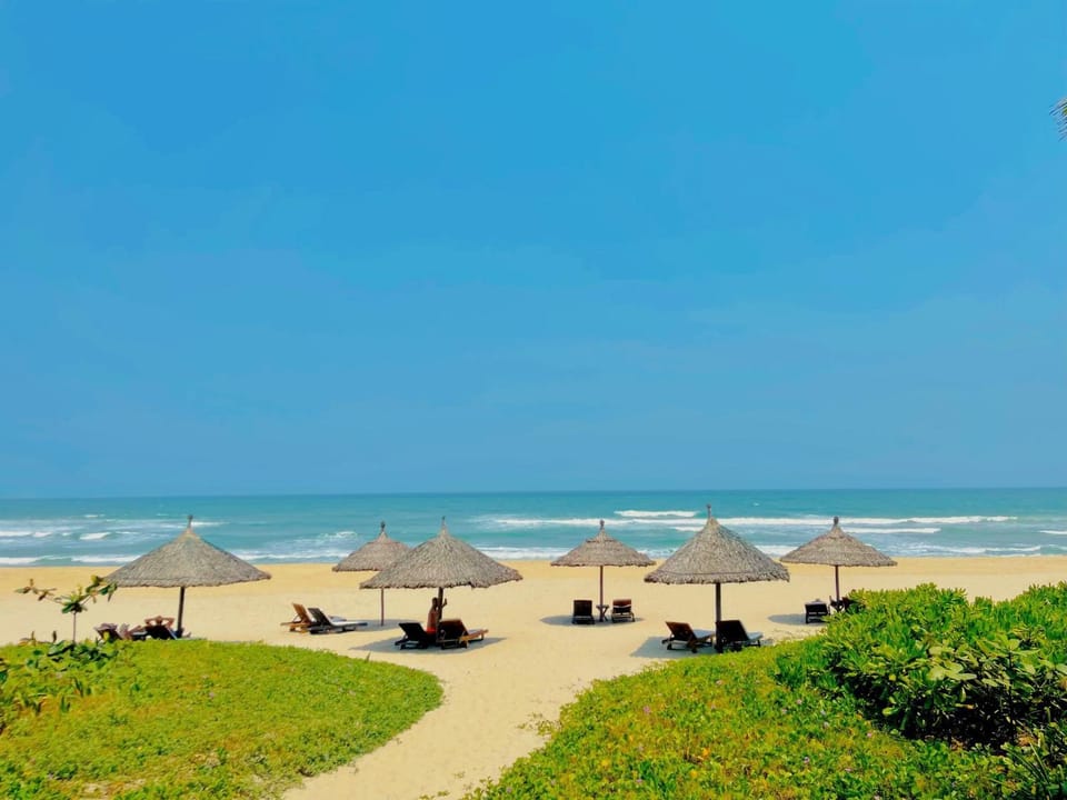 Natural landscape, Beach, sunbed