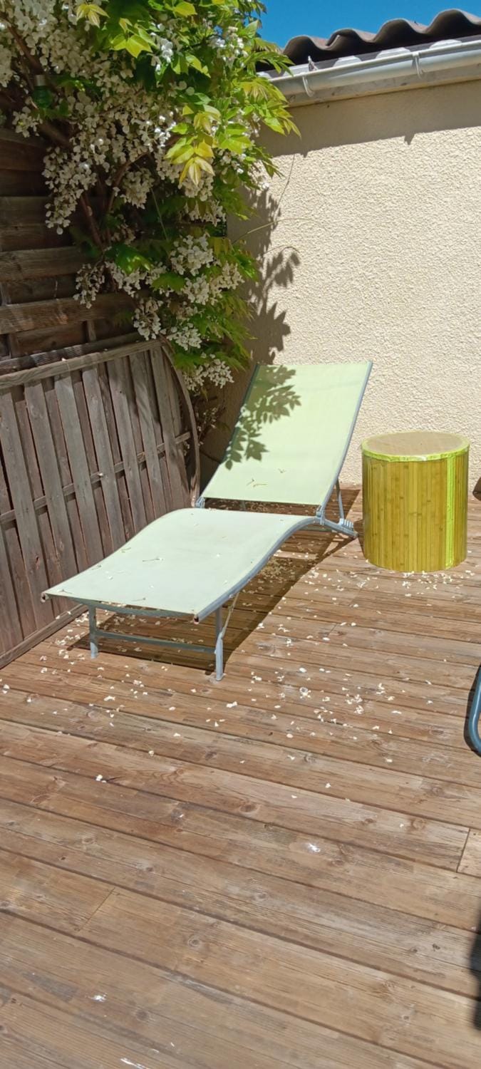 Patio, sunbed