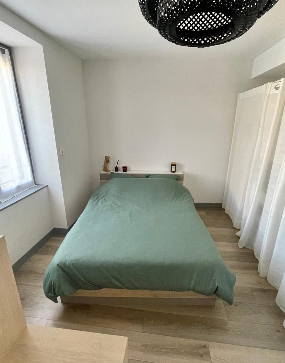 Appartement en duplex avec terrasse Apartment in Saint-Étienne