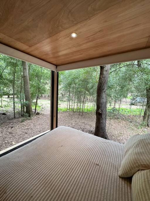 Tiny house en pleno bosque a metros de la laguna House in Chascomús