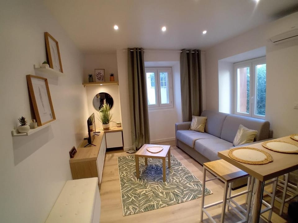 Hakuna Matata Cannes - clim, plages, Palais Apartment in Cannes