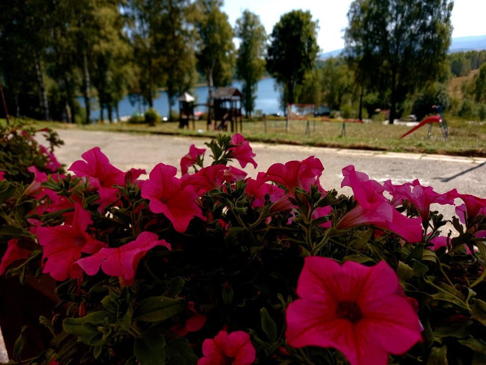 Natural landscape, Garden view
