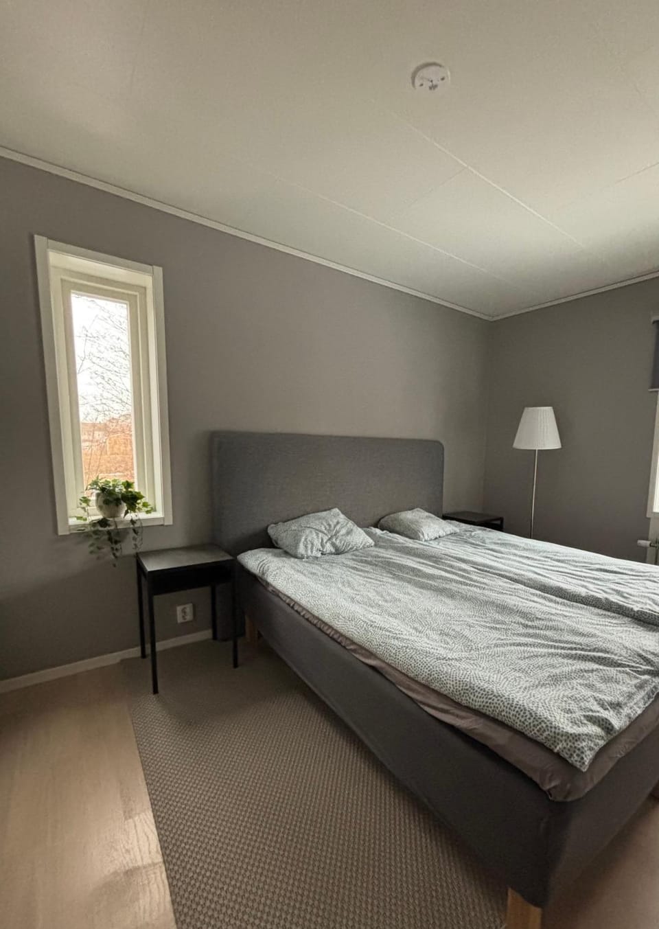 Villa by birches Villa in Sweden