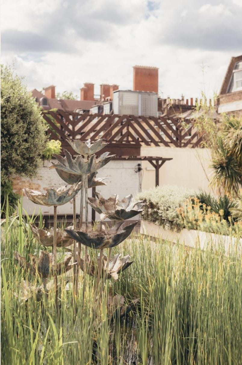 Garden view