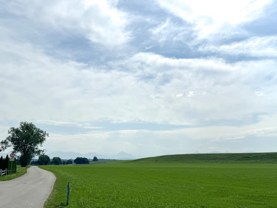Natural landscape