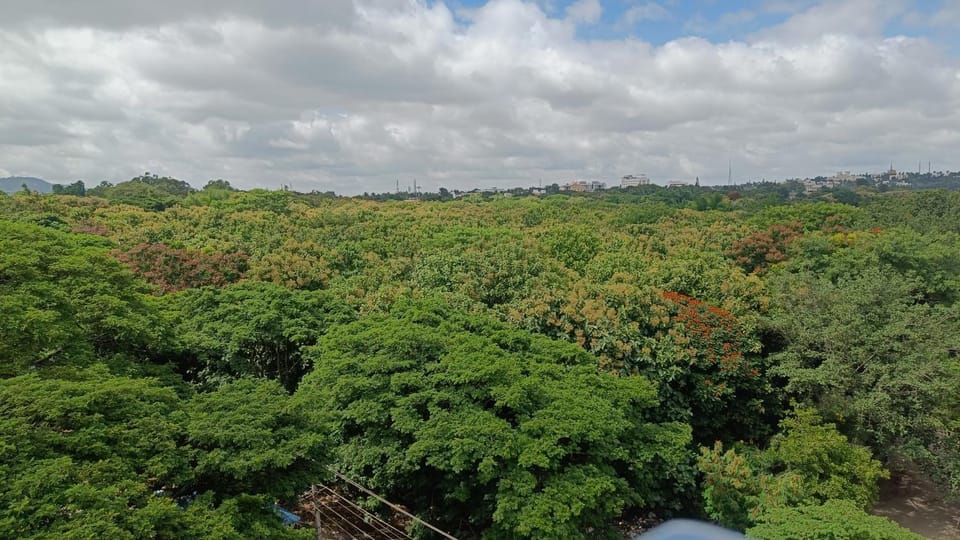 View (from property/room)