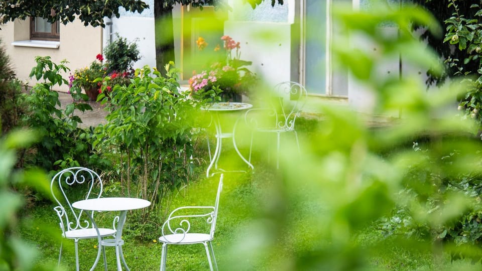 Spring, Garden, Garden, Garden view