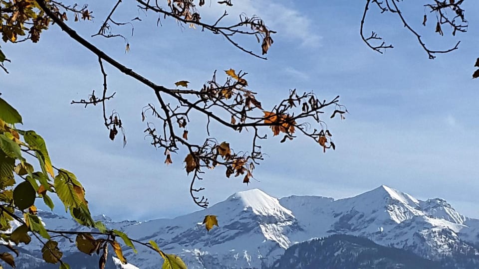 Natural landscape