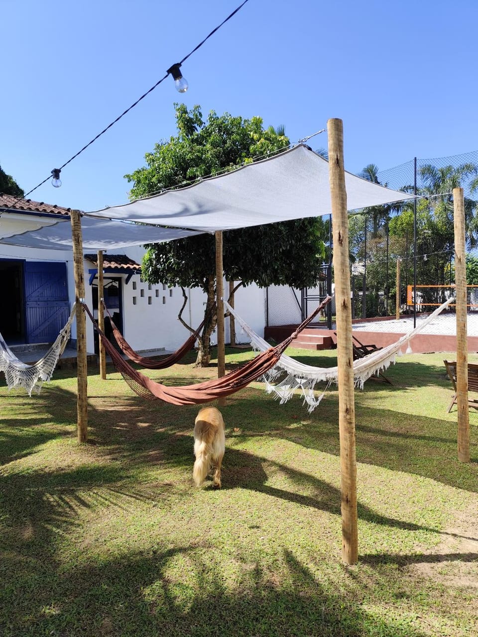 Day, Natural landscape, Garden, Tennis court, Animals, Pets, Entertainment, Lunch, Family, fireplace, sunbed