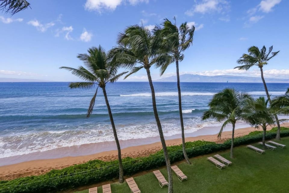 Natural landscape, Beach, Sea view, sunbed