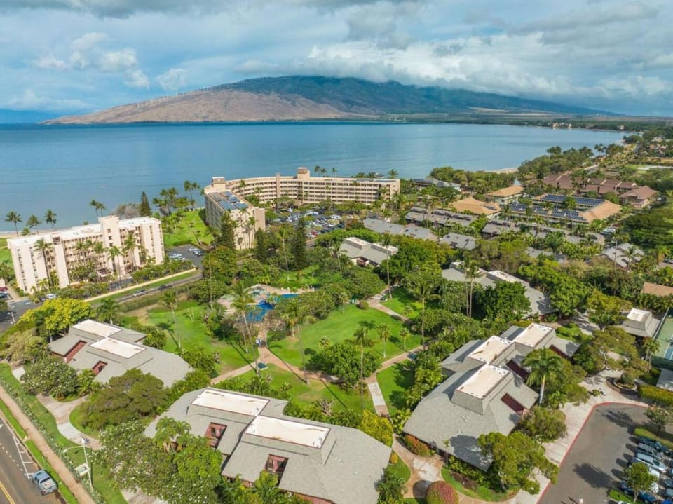 Property building, Natural landscape, Bird's eye view, Sea view, Location