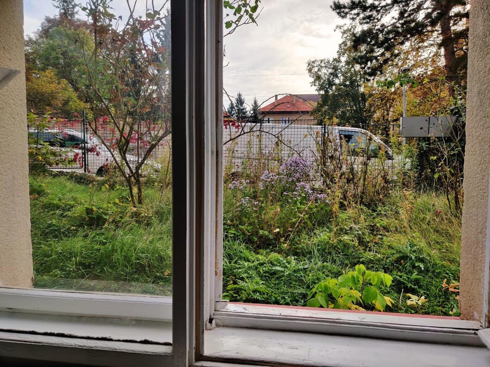 Garden view