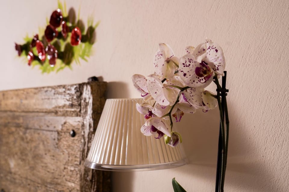 Agriturismo Rivella Farm Stay in Piedmont