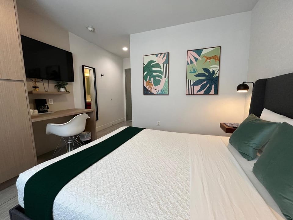Bed, TV and multimedia, Photo of the whole room
