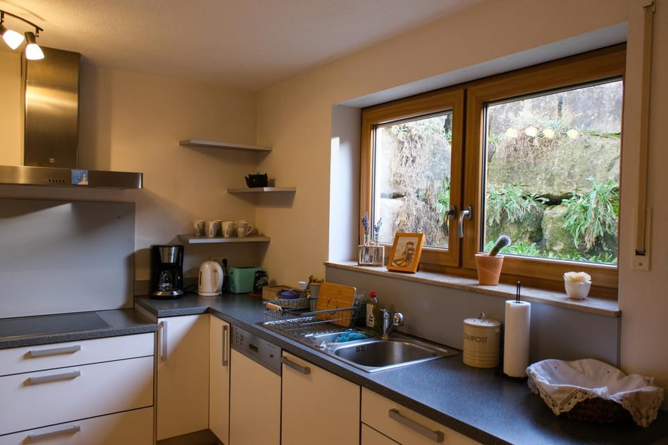 Kitchen or kitchenette, kitchen
