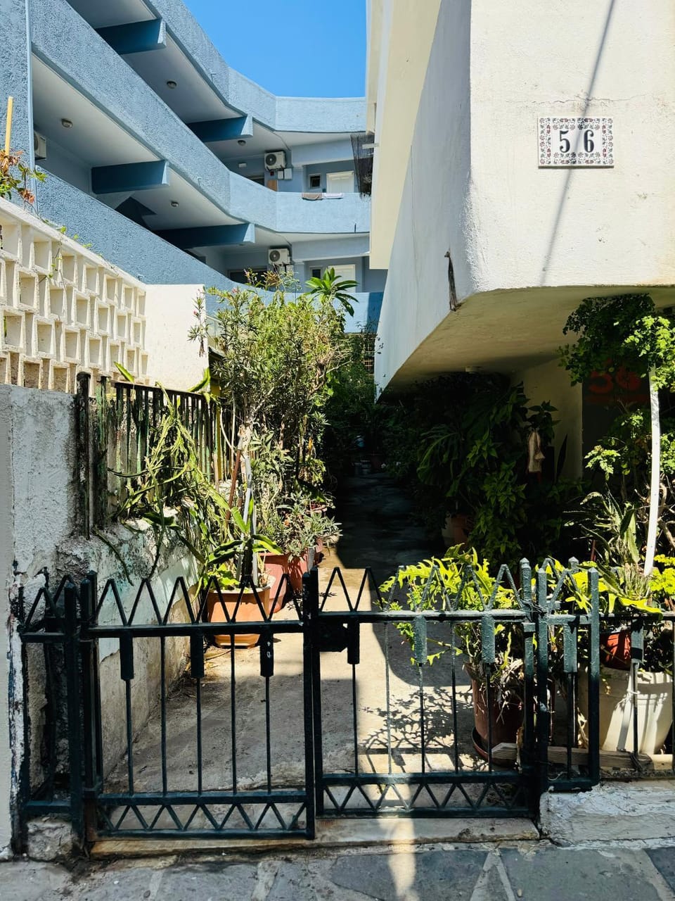 Patio, Day, Garden, Garden view