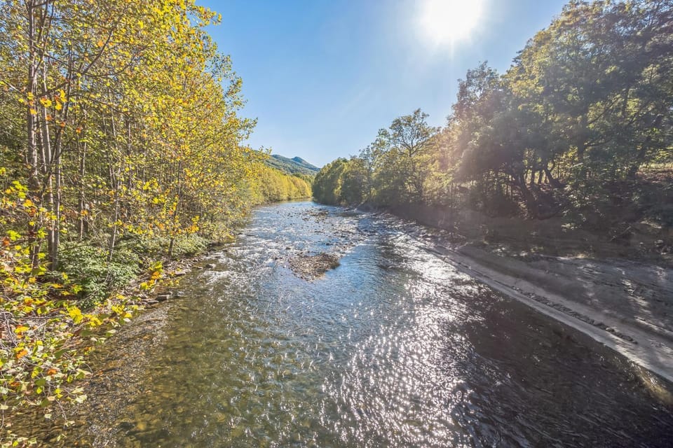 Bear Paw Cottage- 12 mins to Seneca Rocks cottage House in Shenandoah Valley