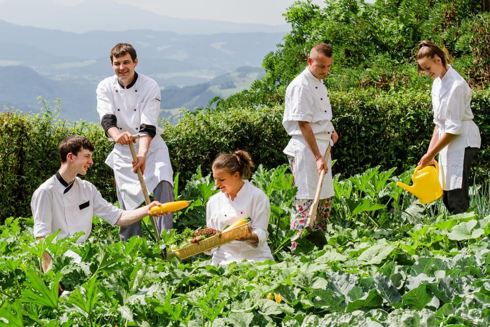 Summer, Garden, Dinner