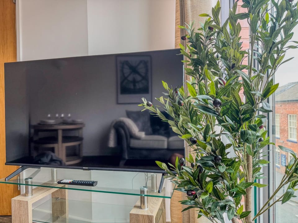 TV and multimedia