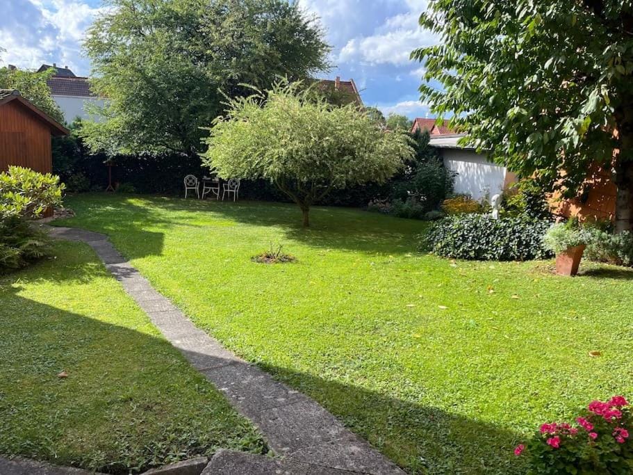 Spring, Garden, Garden view