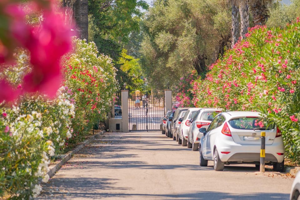 Day, Neighbourhood, Garden view, Street view, Location, Parking