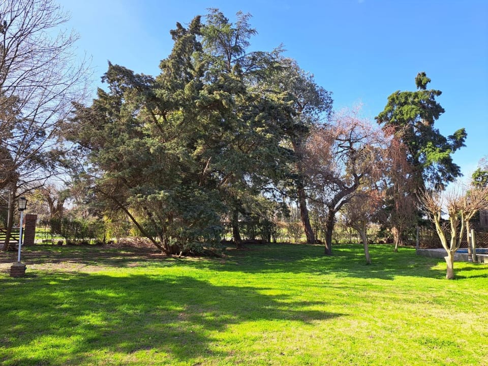 Natural landscape, Garden view