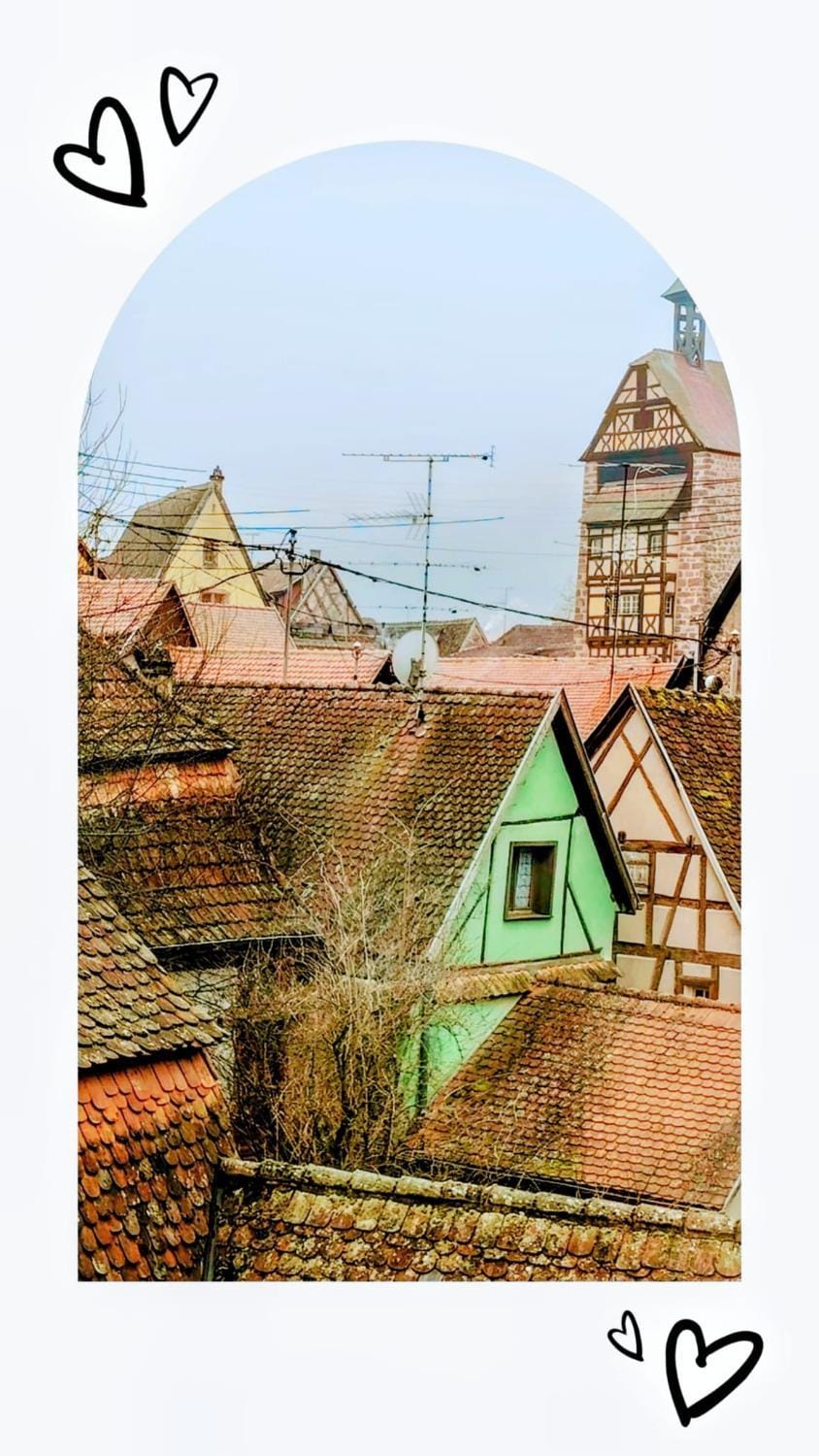View (from property/room)