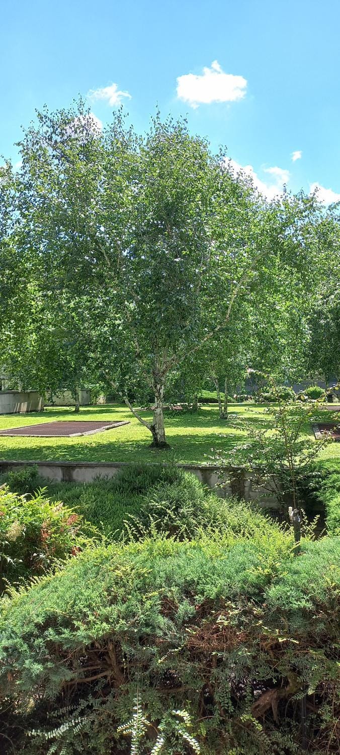 Garden, Garden view