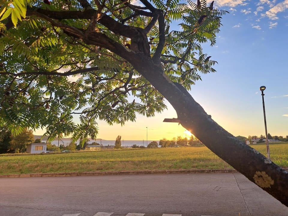 Neighbourhood, Sunset