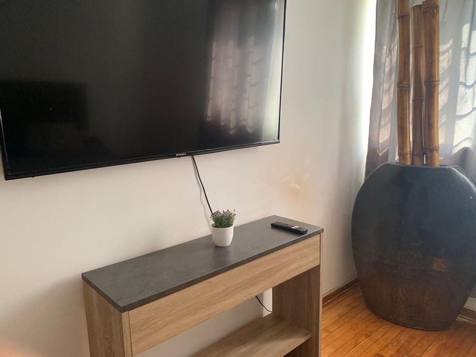 TV and multimedia