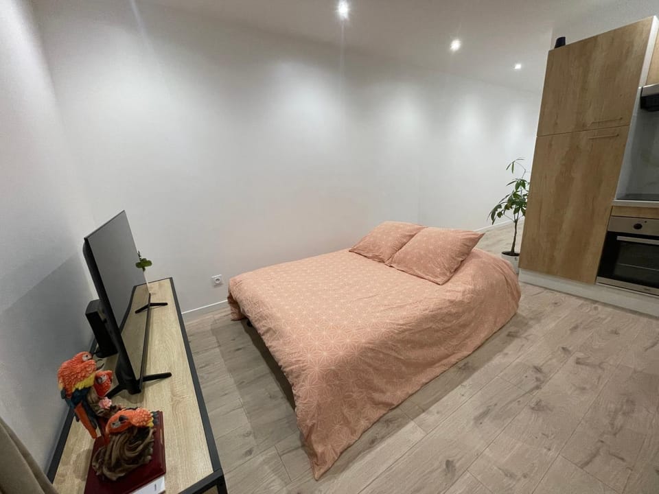 Bed, TV and multimedia, Kitchen or kitchenette, Bedroom