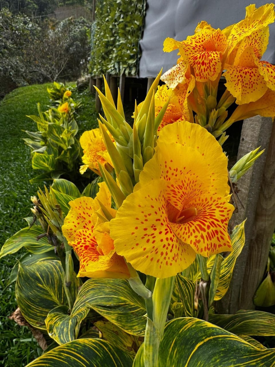 Garden, Garden view