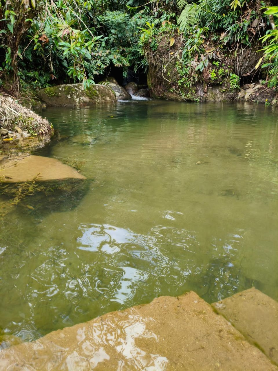 River view