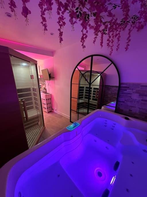 Suite 110 Jacuzzi et Sauna privatisé avec suite Apartment in Île-de-France
