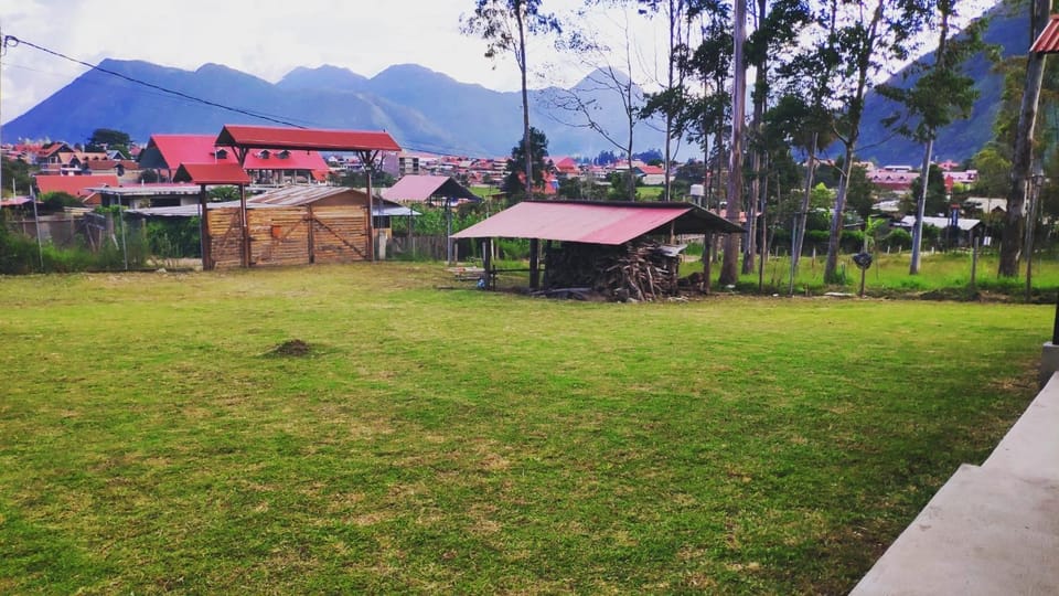 Day, Natural landscape, Garden, Garden view, Mountain view