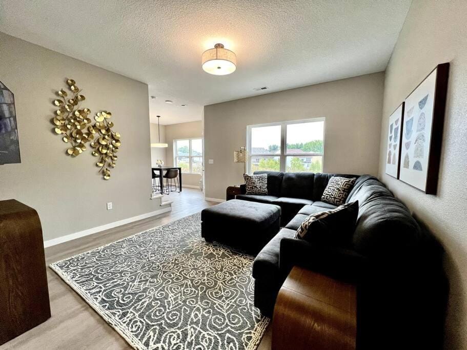 Central Cedar Falls New Construction Townhome! Apartment in Cedar Falls