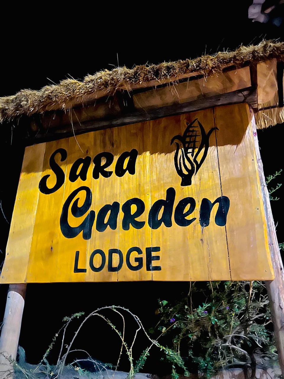 Night, Property logo or sign