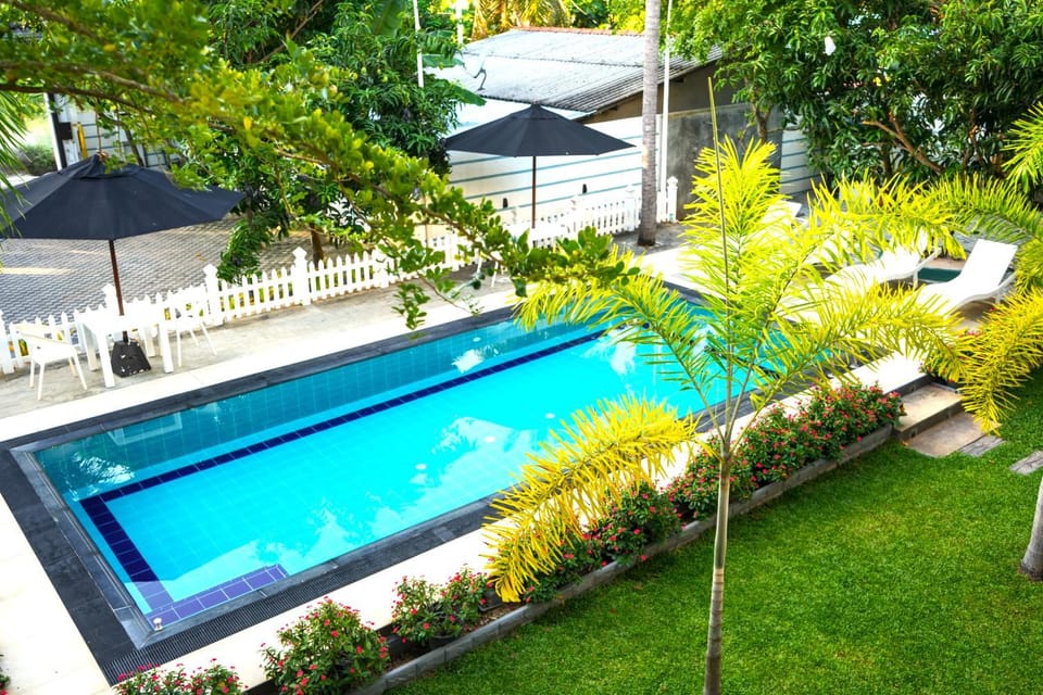 Garden, Pool view, Swimming pool